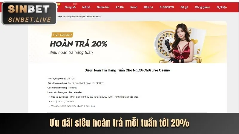 Các chương trình khuyến mãi shbet80