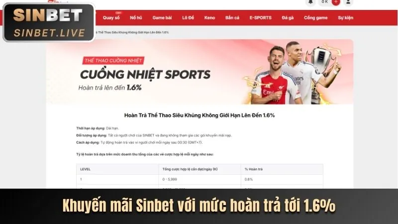 Cá cược thể thao shbet80